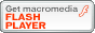 Adobe�t���b�V���v���C���[�̃_�E�����[�h��ʂ�